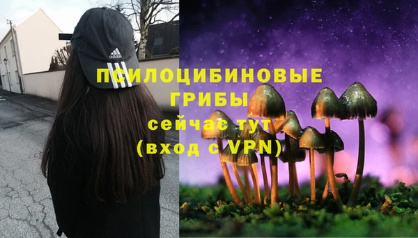 СК Абинск